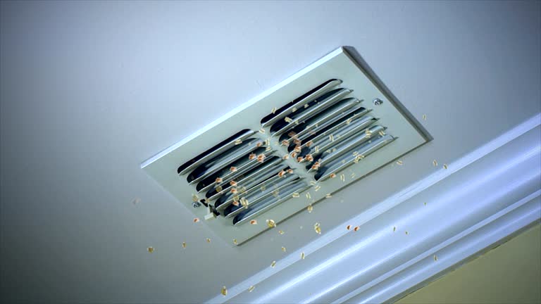 Best Air Duct Cleaning Near Me  in Spout Springs, NC