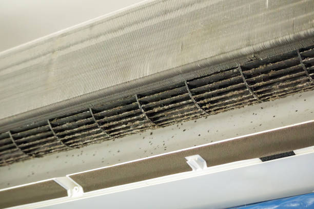 Best Professional Duct Cleaning Services  in Spout Springs, NC